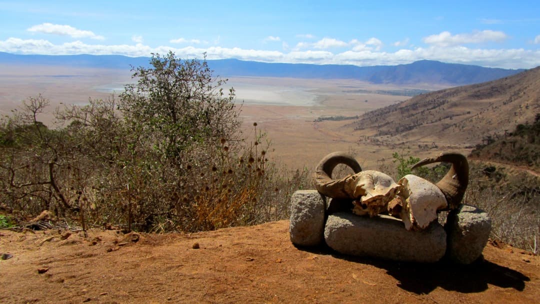 Ngorongoro Conservation Area
