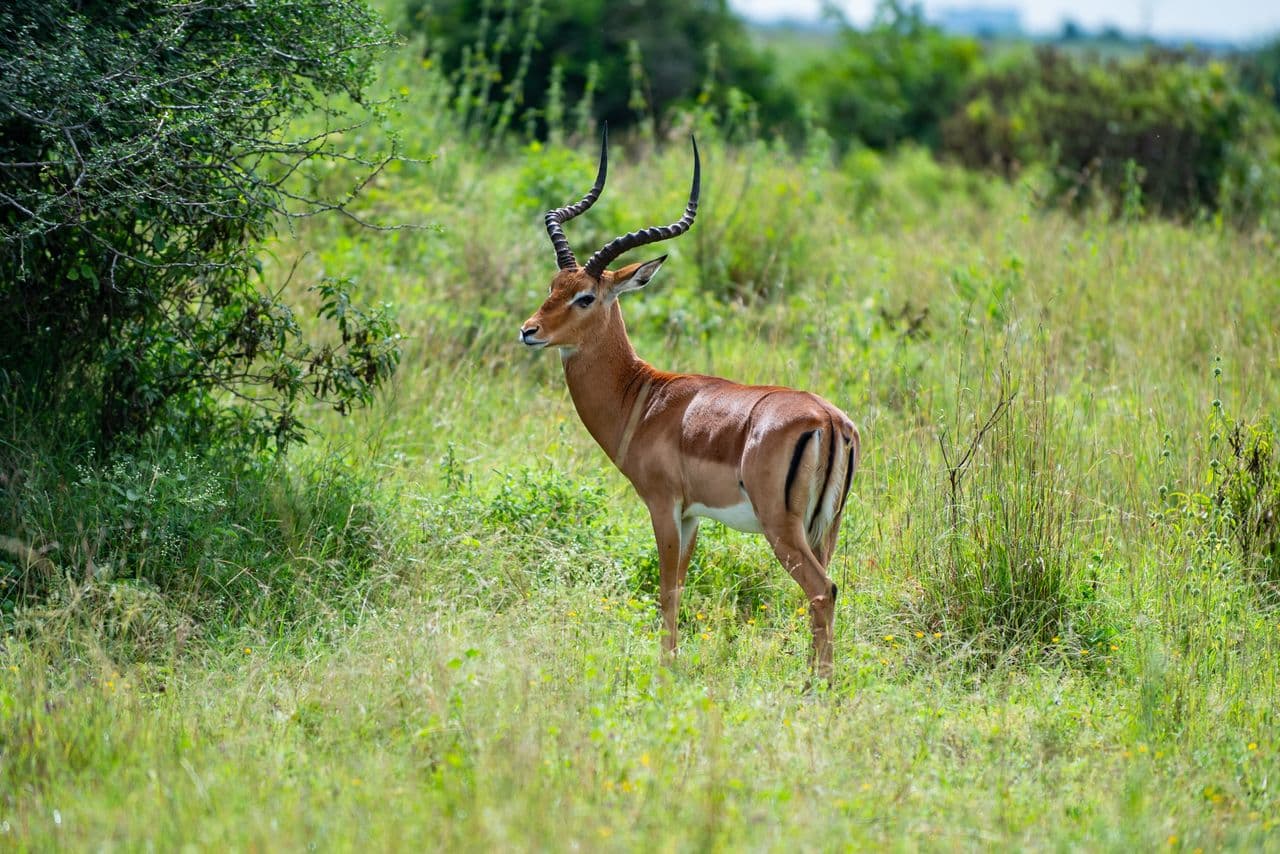 Malka Mari Nationalpark