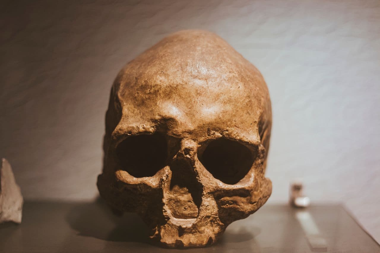 Archäologische Stätte Koobi Fora
